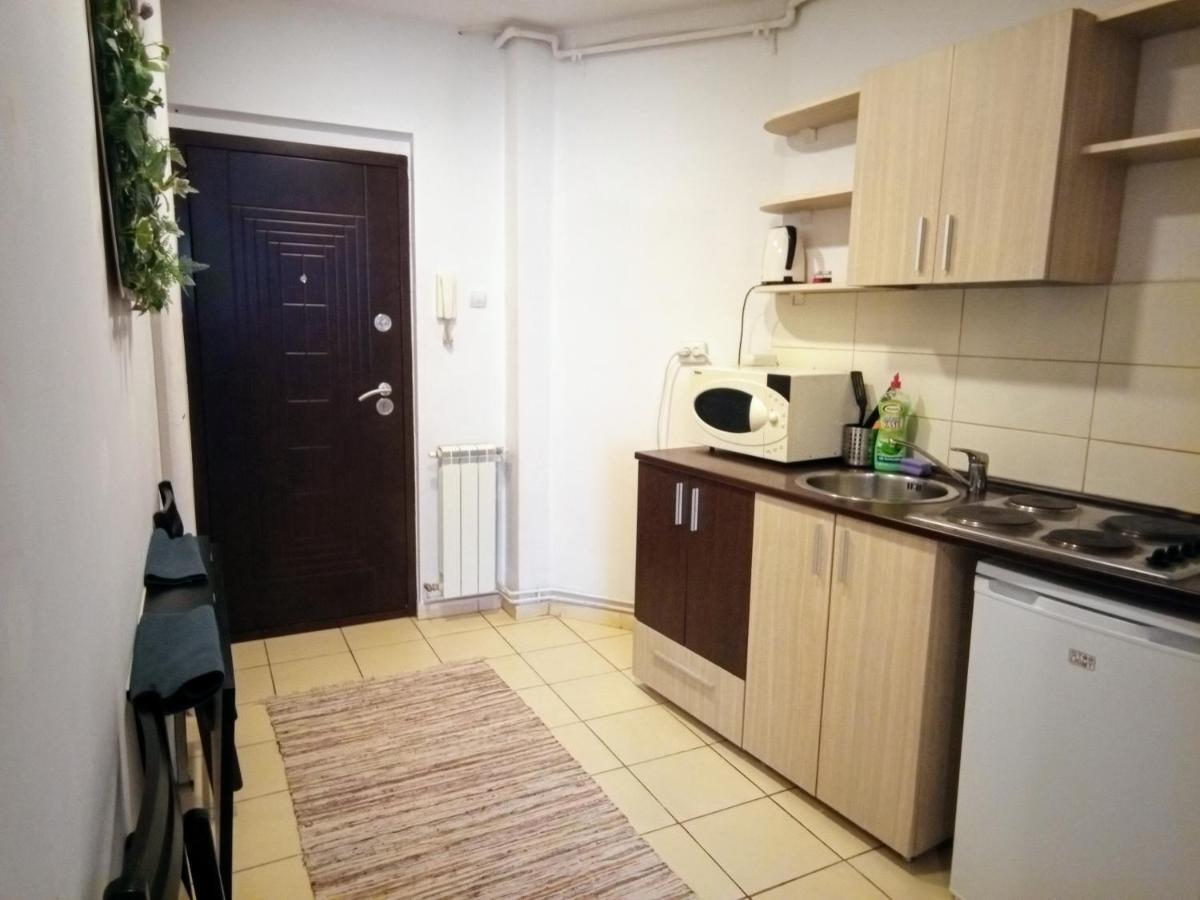 Ferienwohnung Cozy Downtown Oasis Bukarest Exterior foto