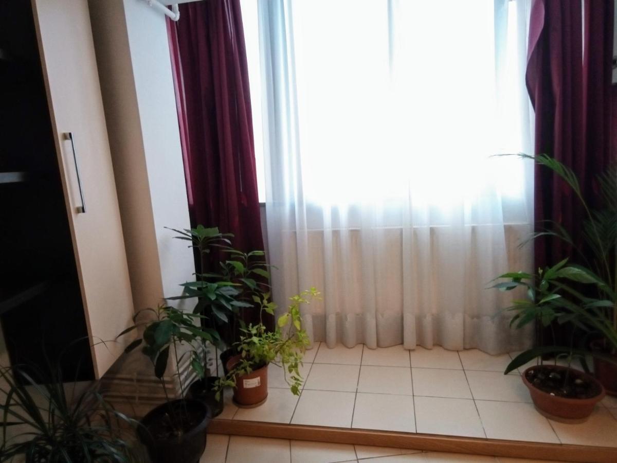 Ferienwohnung Cozy Downtown Oasis Bukarest Exterior foto